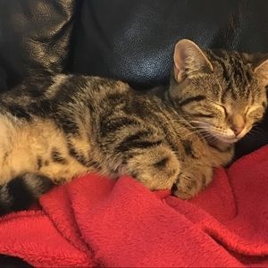 Meet your Posher, Kayla